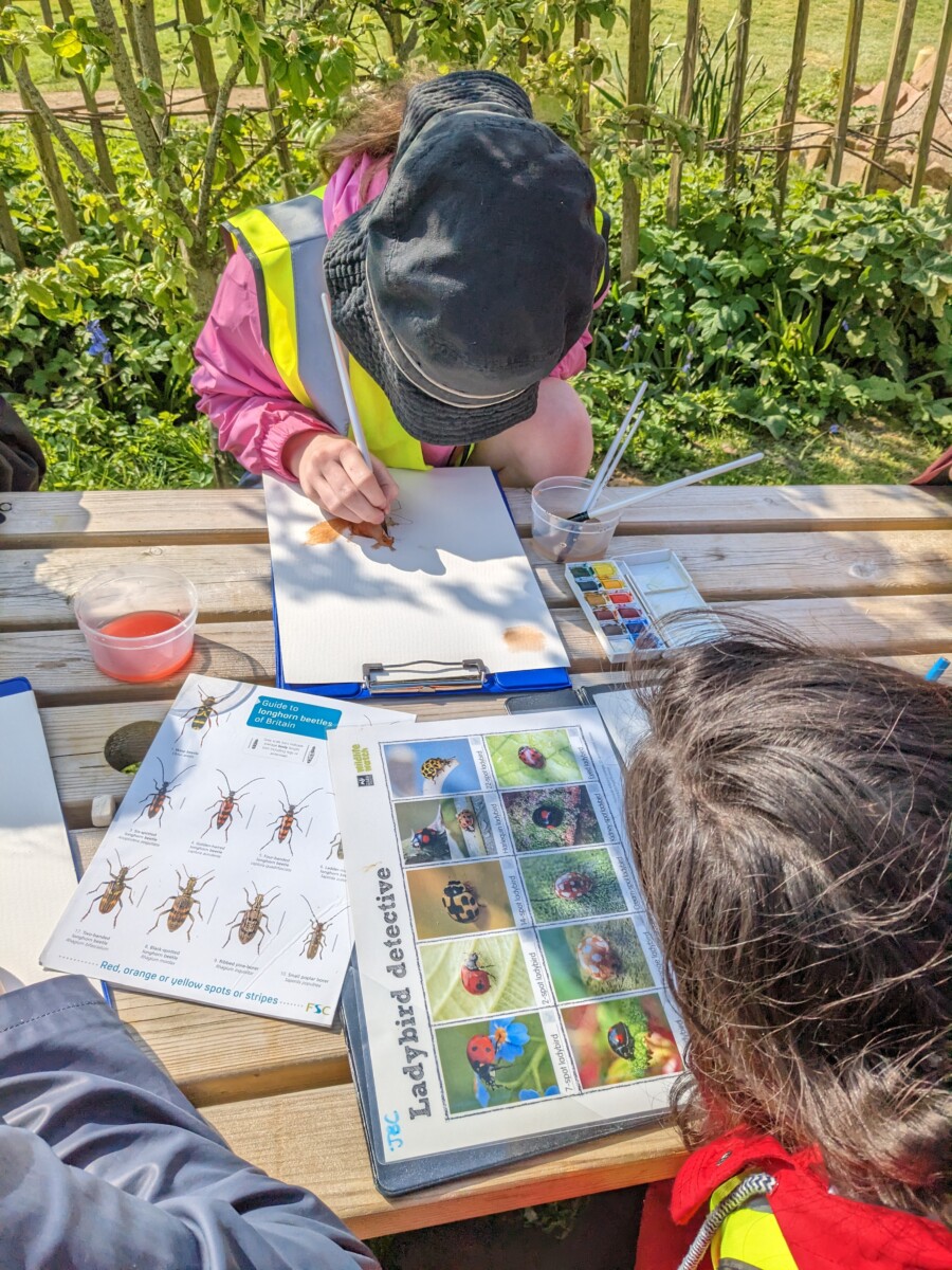 Colour image of primary school students illustrating local wildlife using watercolours at Hamptonne Country Life Museum.