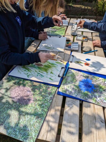 Colour image of primary school students illustrating local wildlife using watercolours at Hamptonne Country Life Museum.