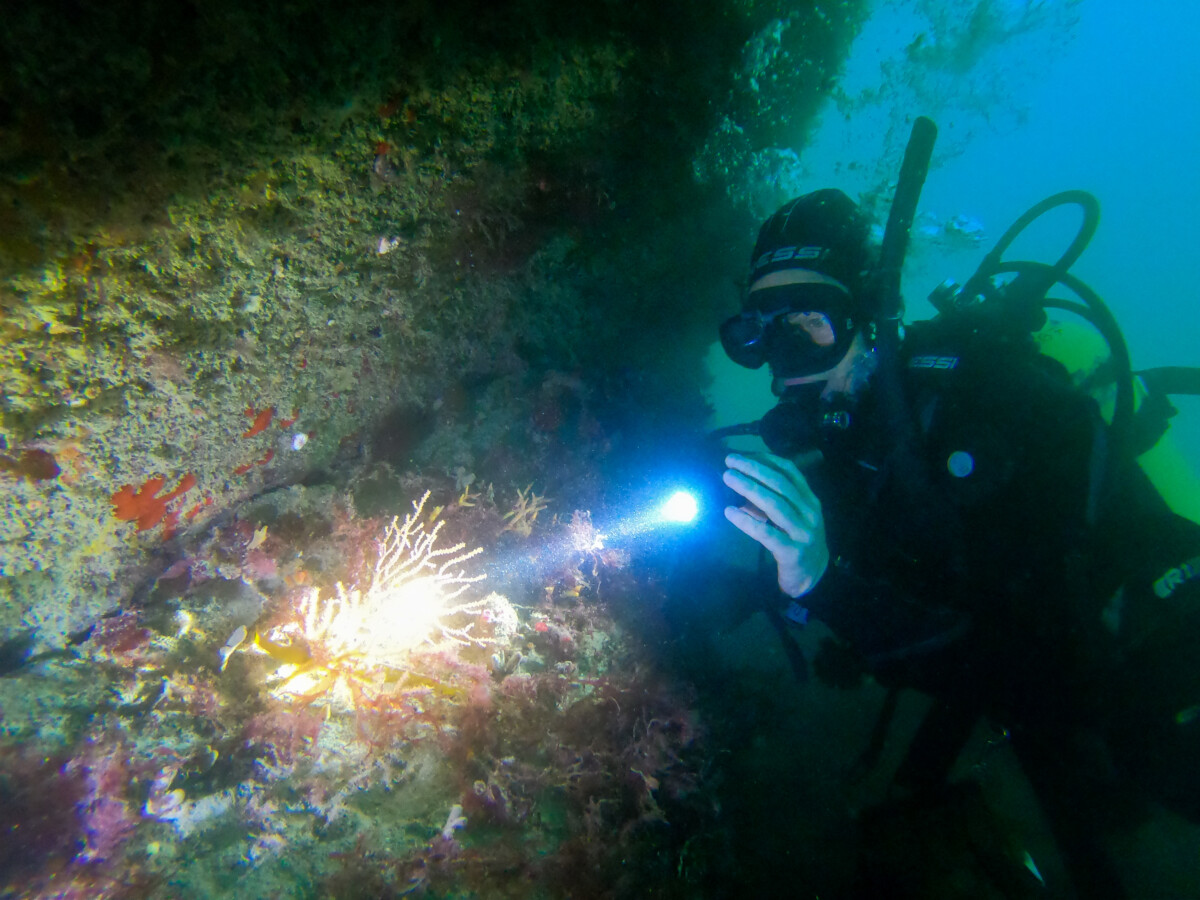 Toyah Tompkins Owner Bouley Bay Dive Centre