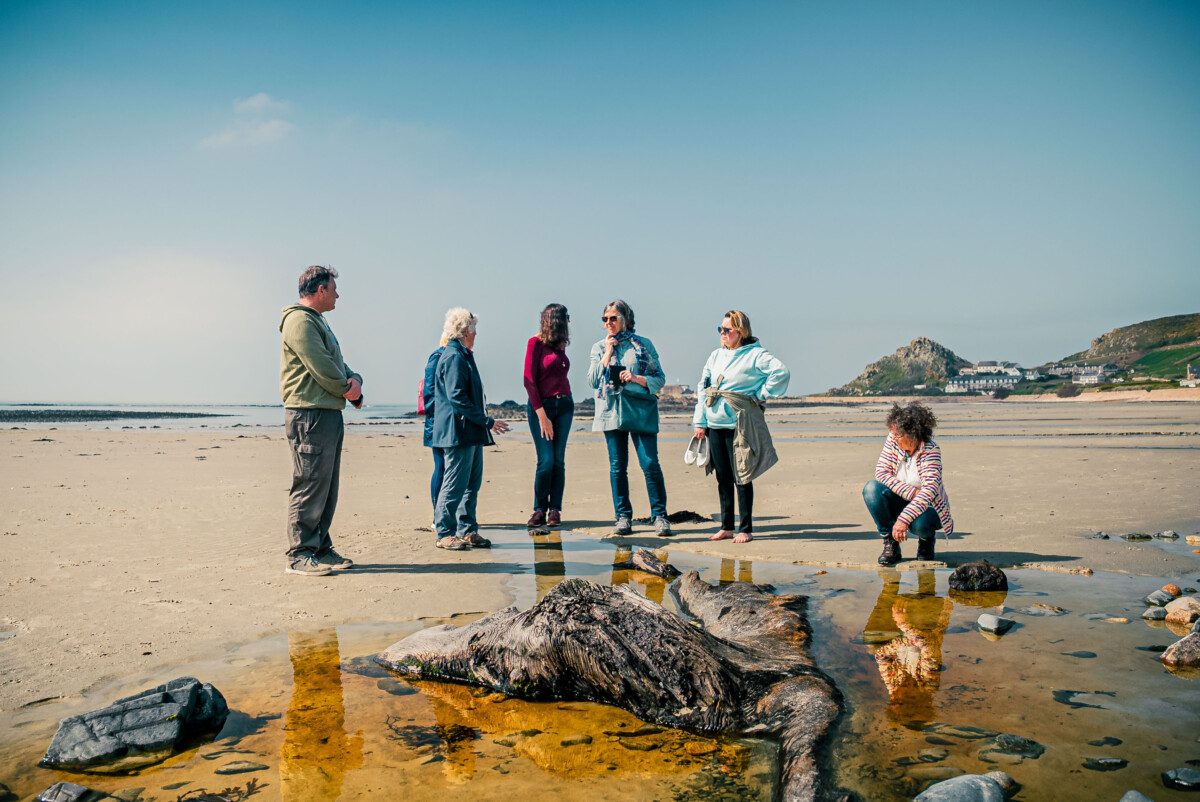 seven people exploring the beach at St Ouen